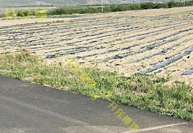 出售红山区魏家营子14亩耕地