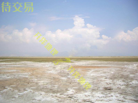 赤峰阿鲁科尔沁旗10000亩盐碱地转让