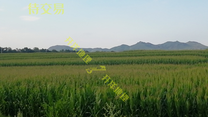 ​出租赤峰市翁牛特旗附近2300亩水浇地