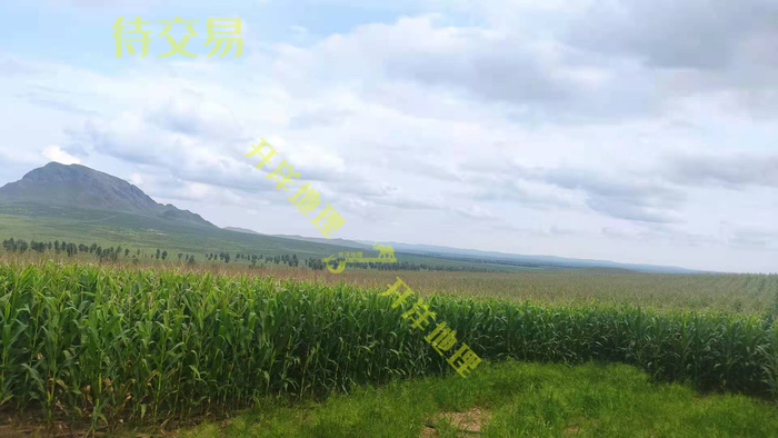 ​出租赤峰市巴林右旗附近420亩水浇地