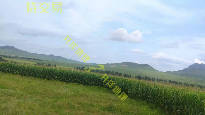 ​出租赤峰市巴林右旗附近300亩水浇地
